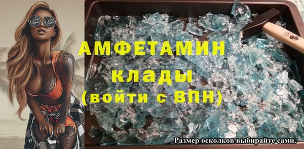 прущие грибы Алзамай