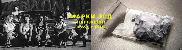 прущие грибы Алзамай