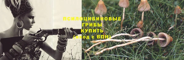герыч Россошь