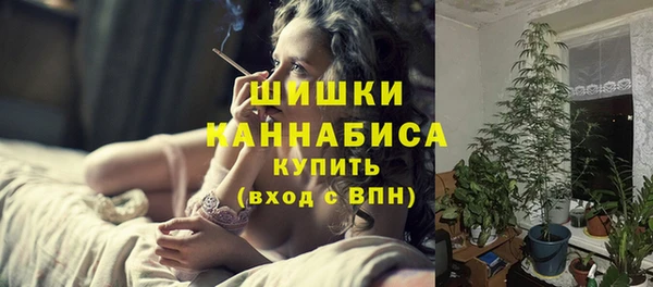 бошки Алексин