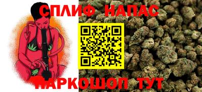 бошки Гусев