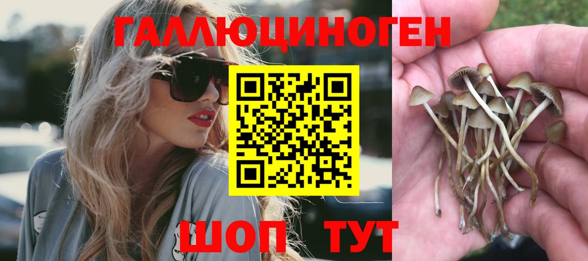 Псилоцибиновые грибы прущие грибы Кропоткин