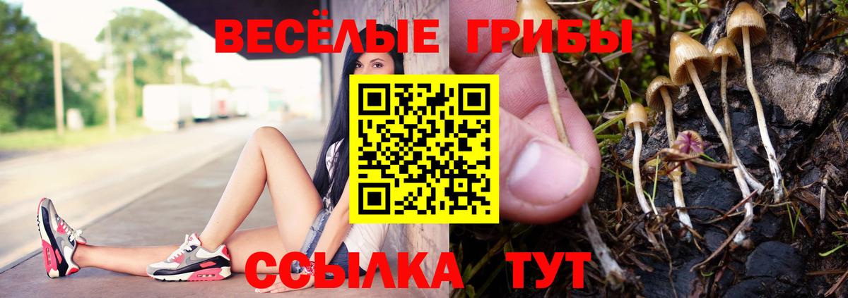 Кропоткин  Псилоцибиновые грибы MAGIC MUSHROOMS  продажа наркотиков  Вход с VPN  Галлюциногенные грибы прущие грибы 